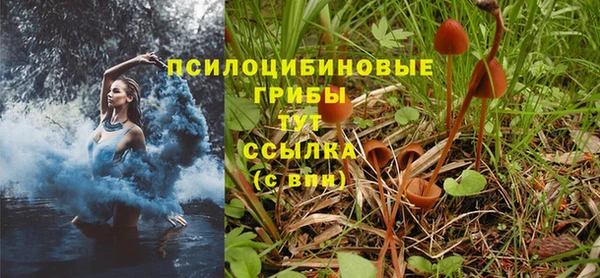 синтетический гашиш Алексеевка
