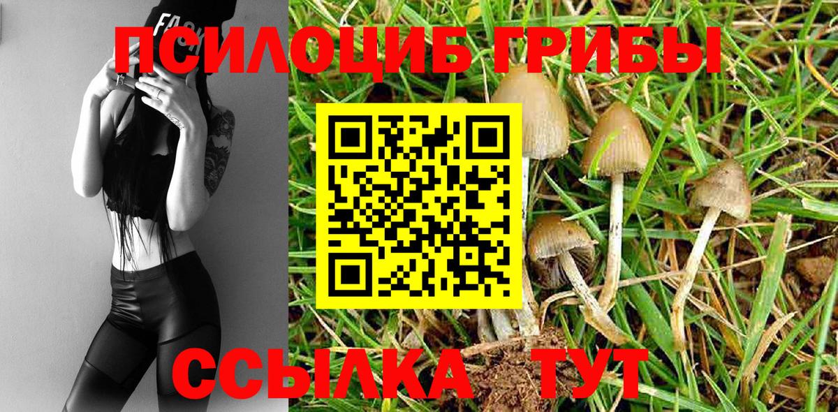 Сосновый Бор  Галлюциногенные грибы Psilocybine cubensis  Вход с VPN 